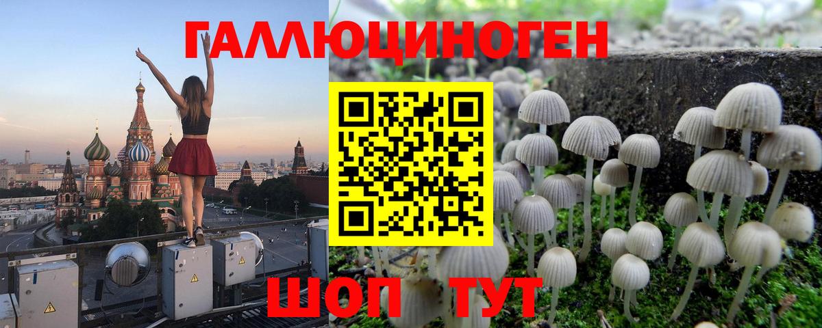 Нижнекамск  Галлюциногенные грибы Cubensis  где продают наркотики  Вход с VPN 